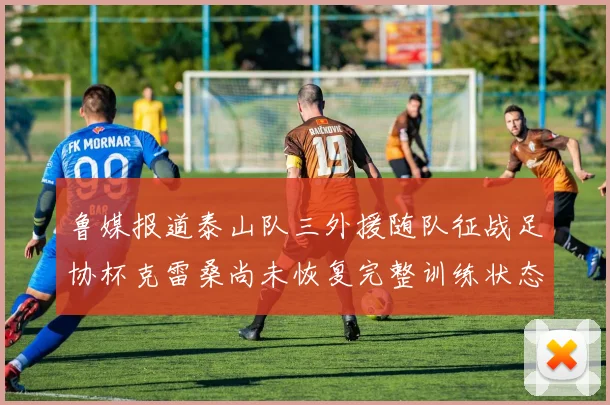 鲁媒报道泰山队三外援随队征战足协杯克雷桑尚未恢复完整训练状态