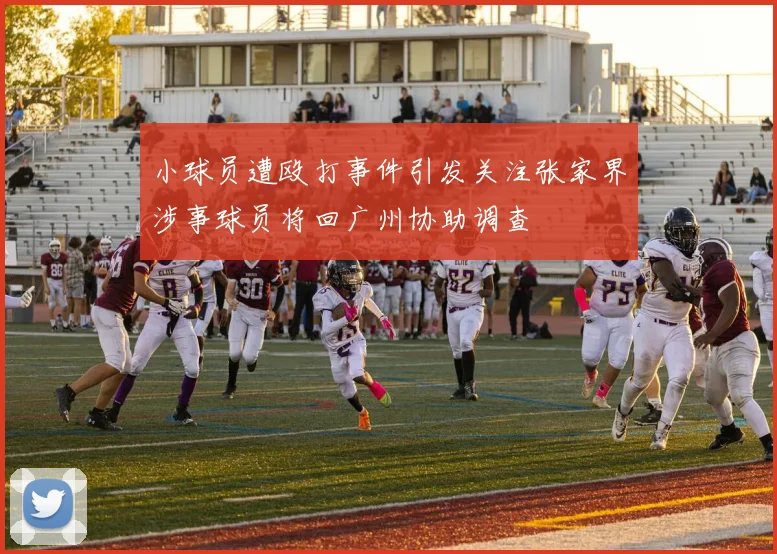 小球员遭殴打事件引发关注张家界涉事球员将回广州协助调查