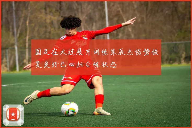 国足在大连展开训练朱辰杰伤势恢复良好已回归合练状态
